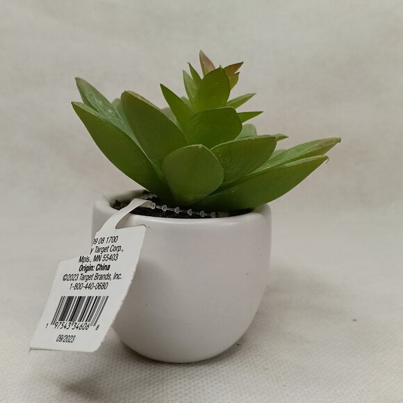 3.5 '' Mini Tabletop Succulent Artificial Plant - Threshold, new - Picture 5 of 8